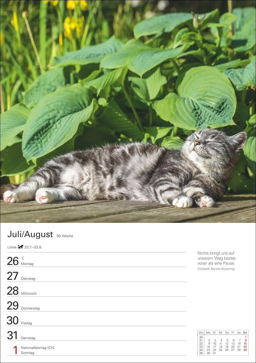 Bild: 9783840038938 | Katzen Wochenplaner 2027 - 53 faszinierende Fotografien | Huhnold
