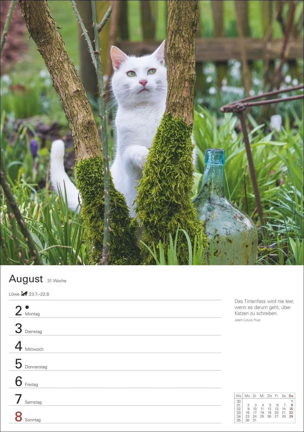 Bild: 9783840038938 | Katzen Wochenplaner 2027 - 53 faszinierende Fotografien | Huhnold