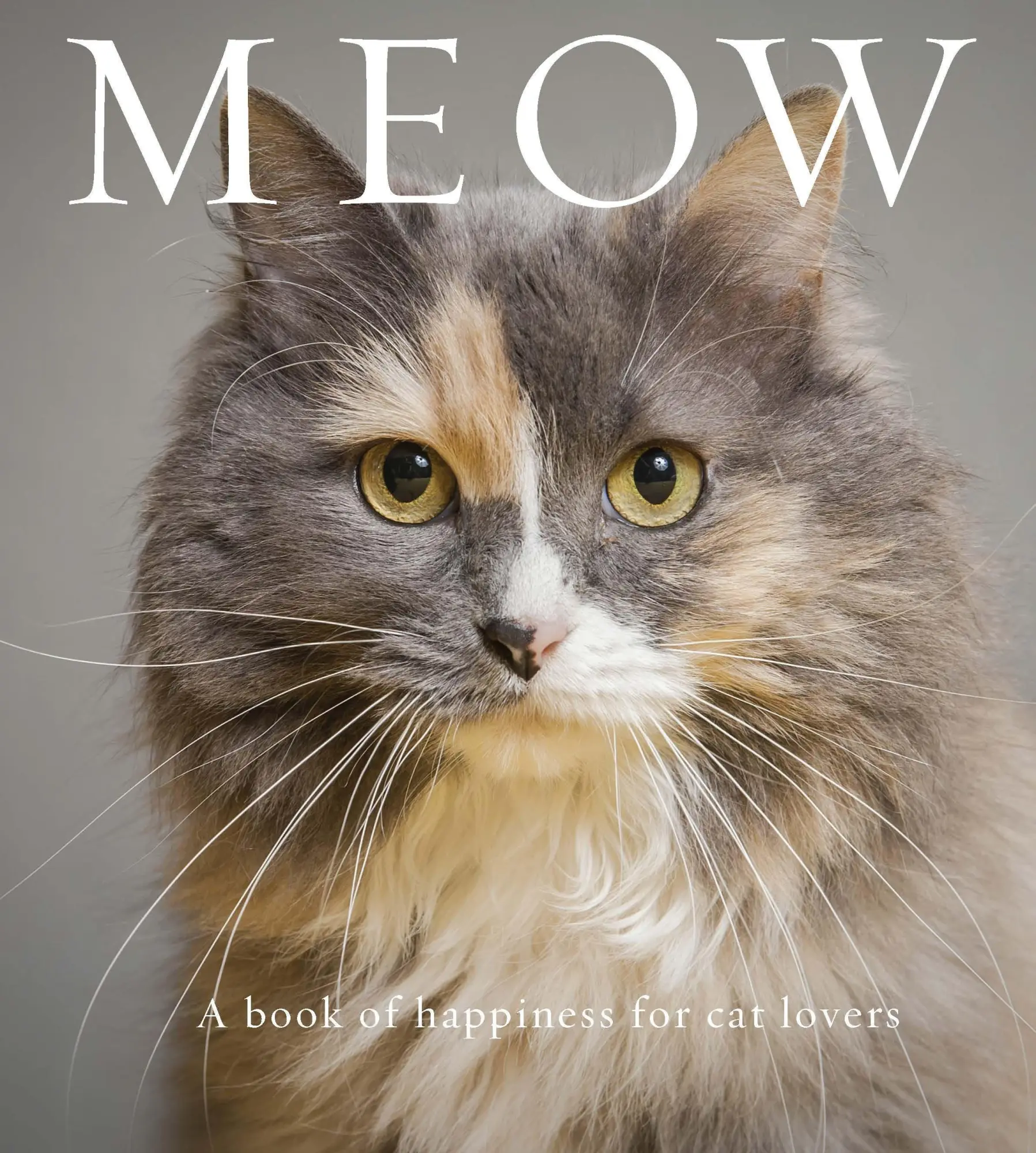 Cover: 9781922539038 | Meow | A Book of Happiness for Cat Lovers | Anouska Jones | Buch
