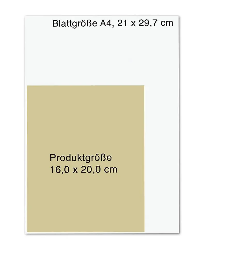 Bild: 9783426659038 | Das RückenHeilbuch für Frauen | Lucia Schmidt | Taschenbuch | 96 S.