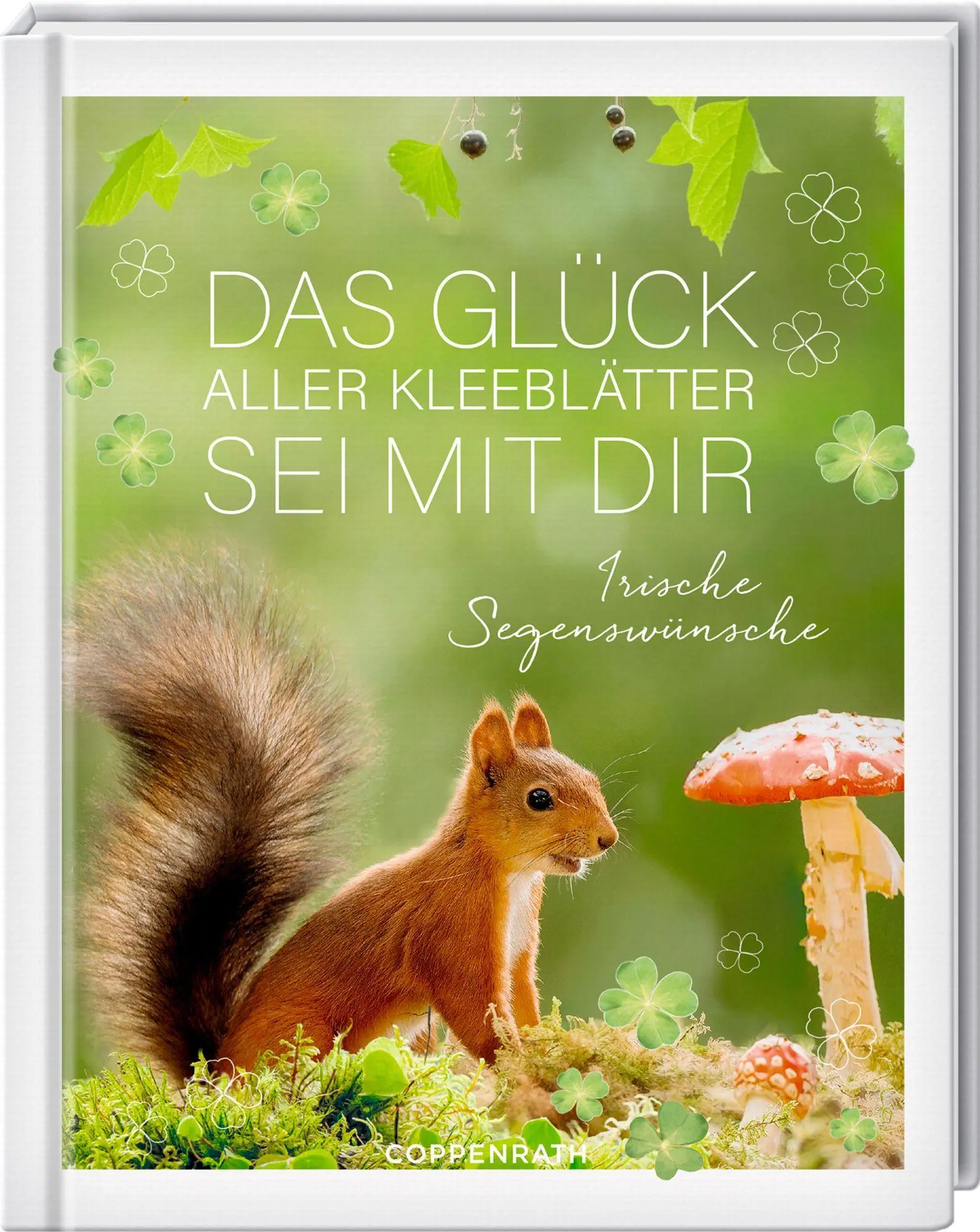 Cover: 9783649649038 | Das Glück aller Kleeblätter sei mit dir | Irische Segenswünsche | Buch