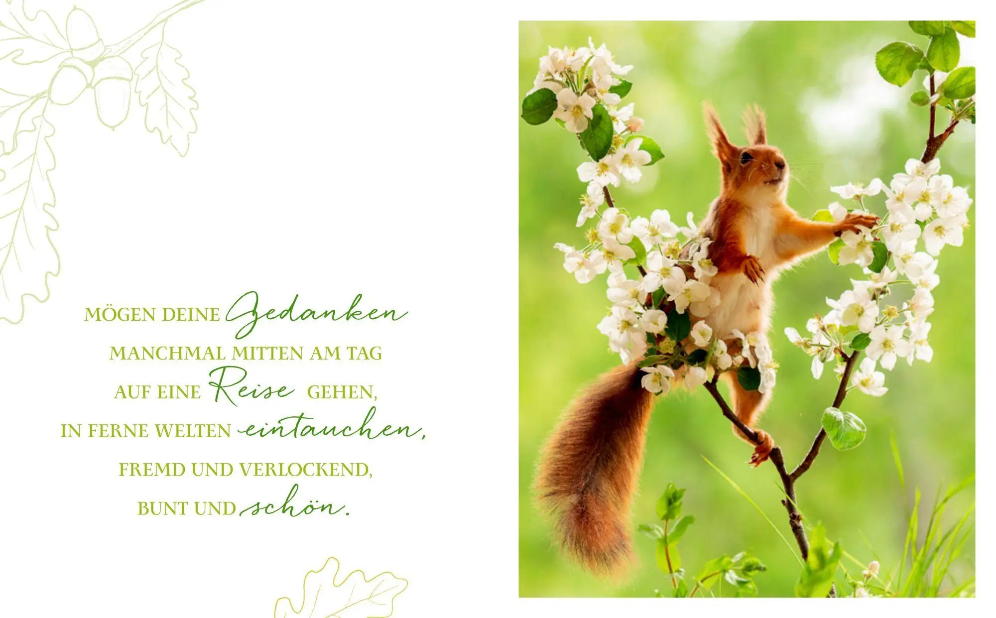 Bild: 9783649649038 | Das Glück aller Kleeblätter sei mit dir | Irische Segenswünsche | Buch