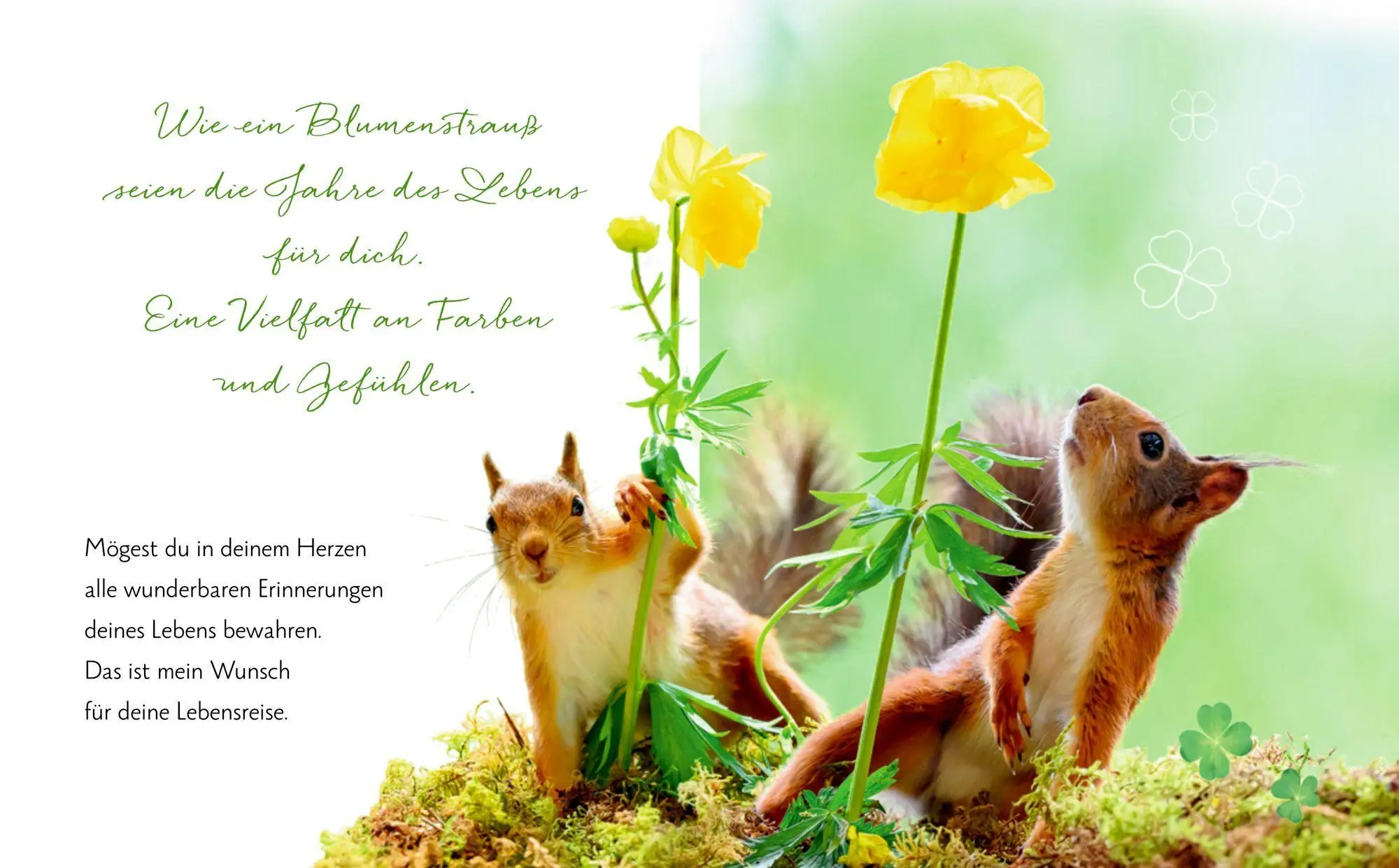 Bild: 9783649649038 | Das Glück aller Kleeblätter sei mit dir | Irische Segenswünsche | Buch