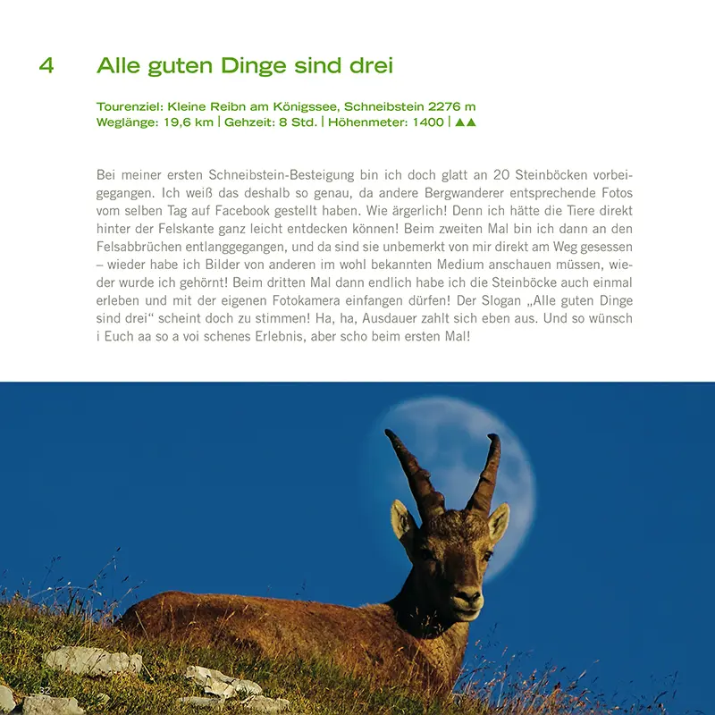 Bild: 9783945419038 | Wanderungen zu den Steinböcken | Oberbayern, Österreich, Südtirol