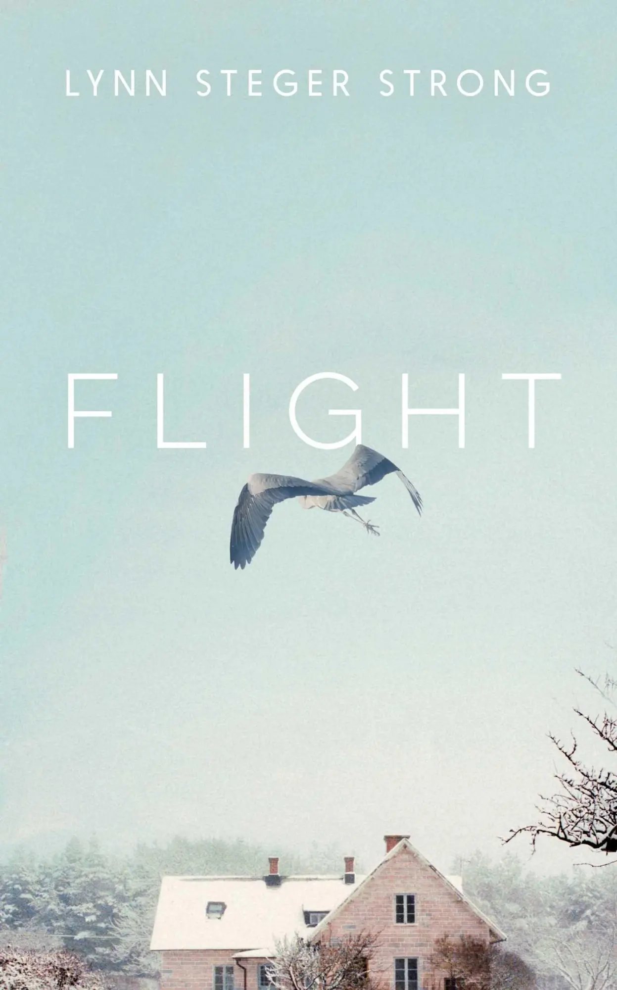 Cover: 9781398519138 | Flight | 'Emotionally transcendent' - Boston Globe | Strong | Buch
