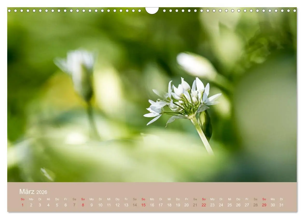 Bild: 9783516119138 | WILD, ESSBAR UND GESUND Essbare Wildpflanzen (Wandkalender 2026 DIN...