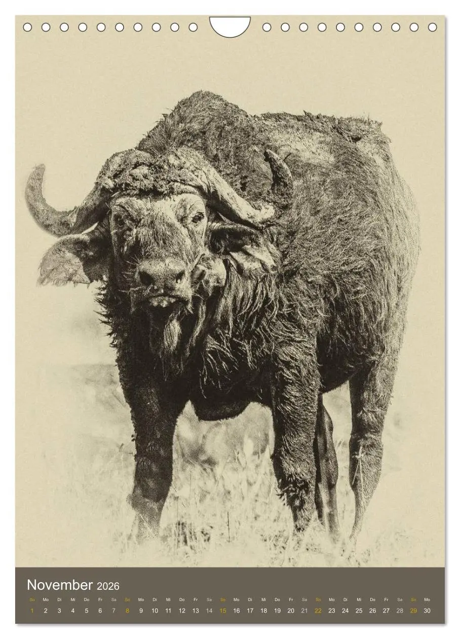 Bild: 9783516429138 | Afrikas Tierwelt - Sepia-Art (Wandkalender 2026 DIN A4 hoch),...
