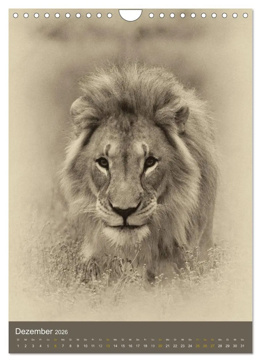 Bild: 9783516429138 | Afrikas Tierwelt - Sepia-Art (Wandkalender 2026 DIN A4 hoch),...