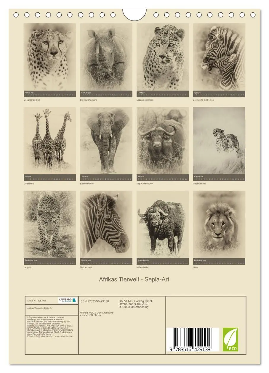 Bild: 9783516429138 | Afrikas Tierwelt - Sepia-Art (Wandkalender 2026 DIN A4 hoch),...