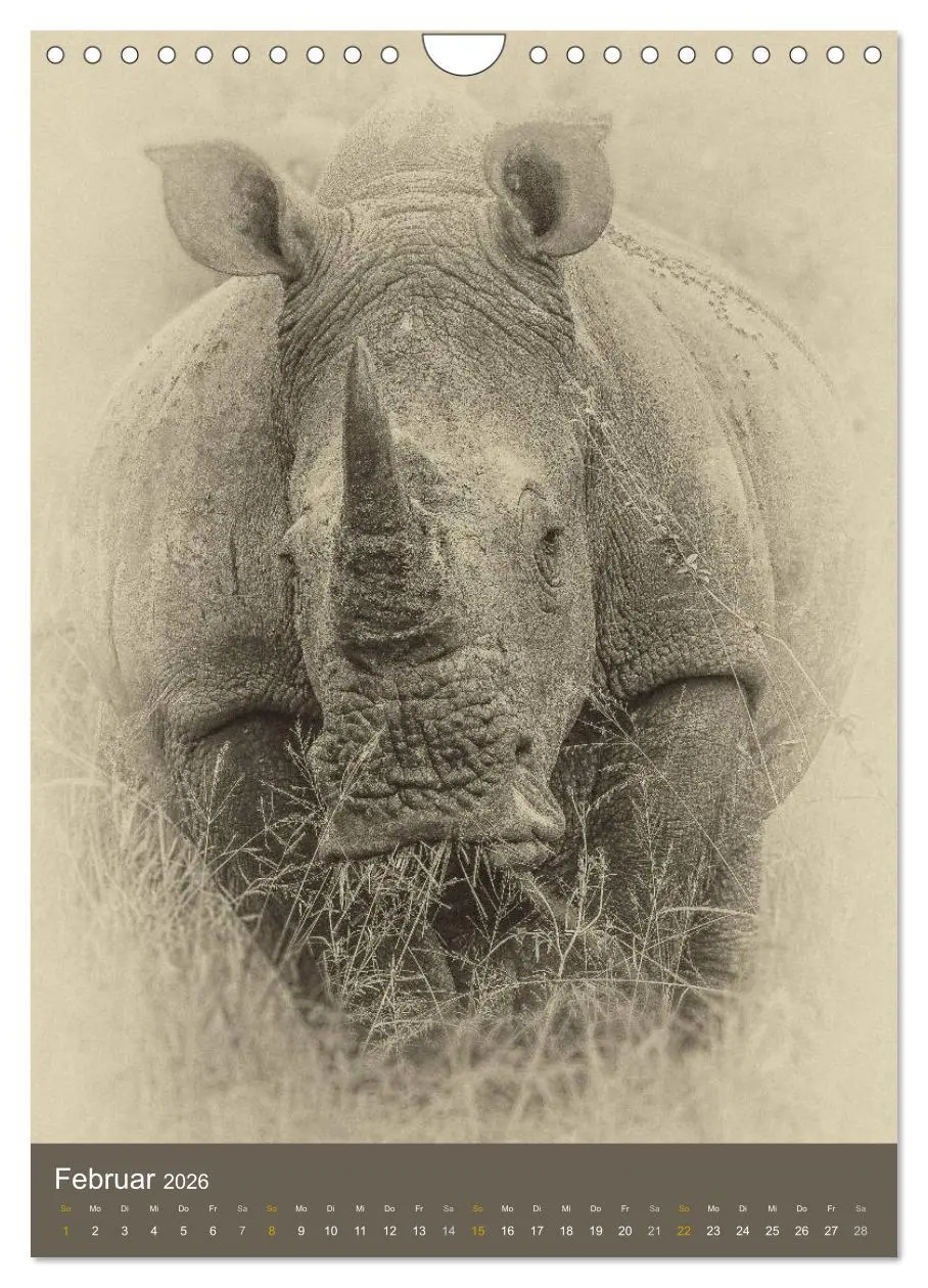 Bild: 9783516429138 | Afrikas Tierwelt - Sepia-Art (Wandkalender 2026 DIN A4 hoch),...