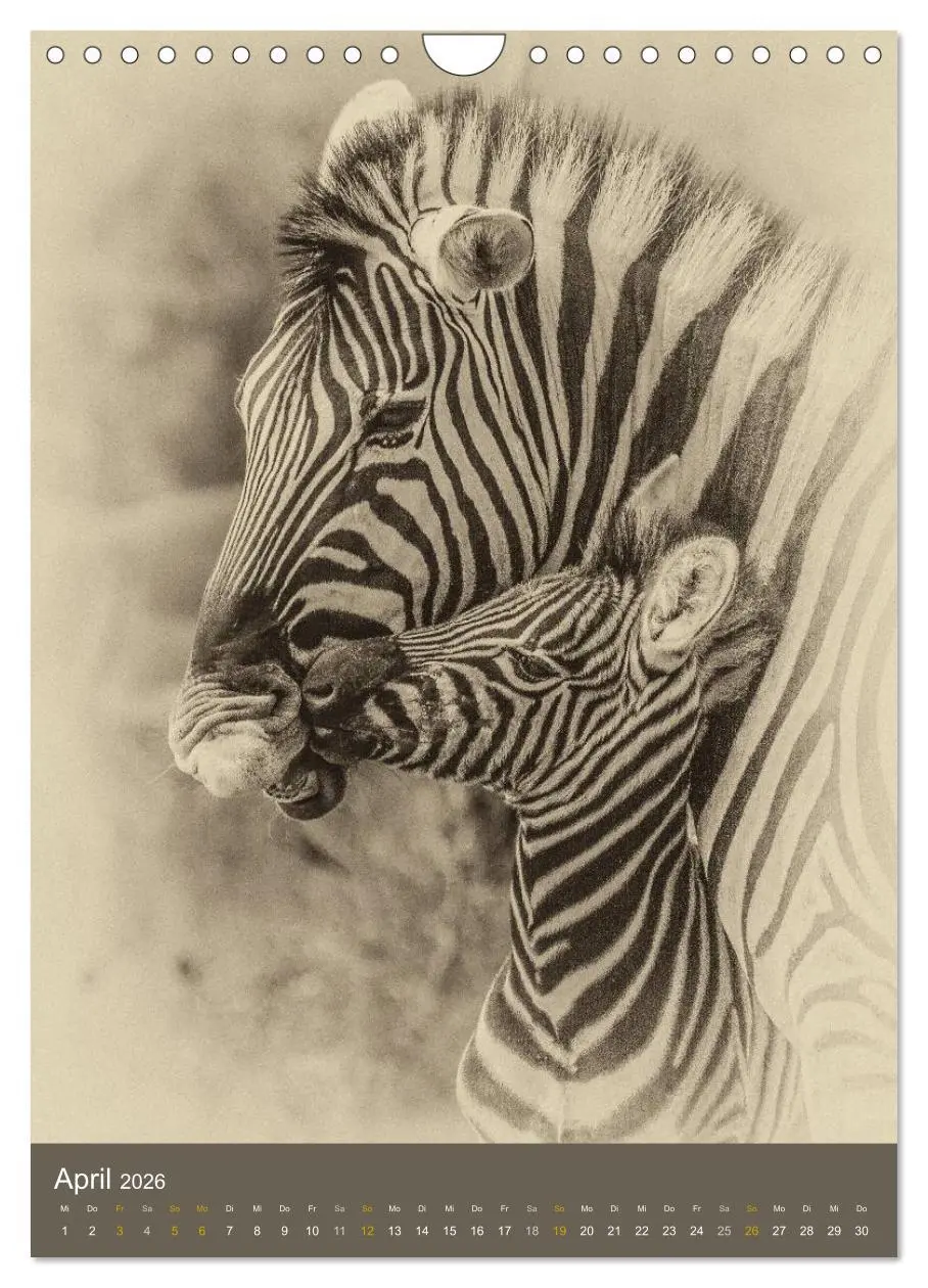 Bild: 9783516429138 | Afrikas Tierwelt - Sepia-Art (Wandkalender 2026 DIN A4 hoch),...