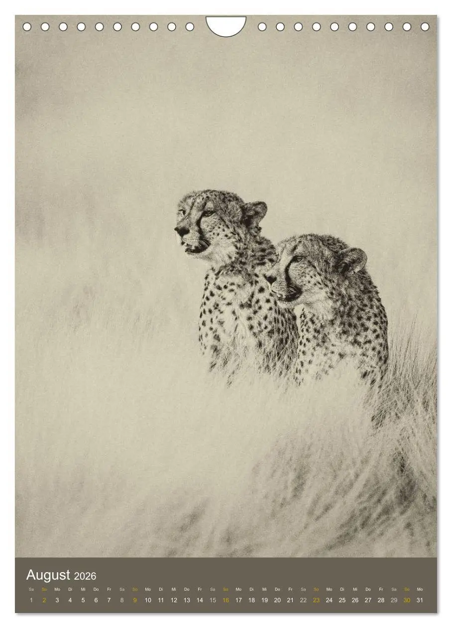 Bild: 9783516429138 | Afrikas Tierwelt - Sepia-Art (Wandkalender 2026 DIN A4 hoch),...