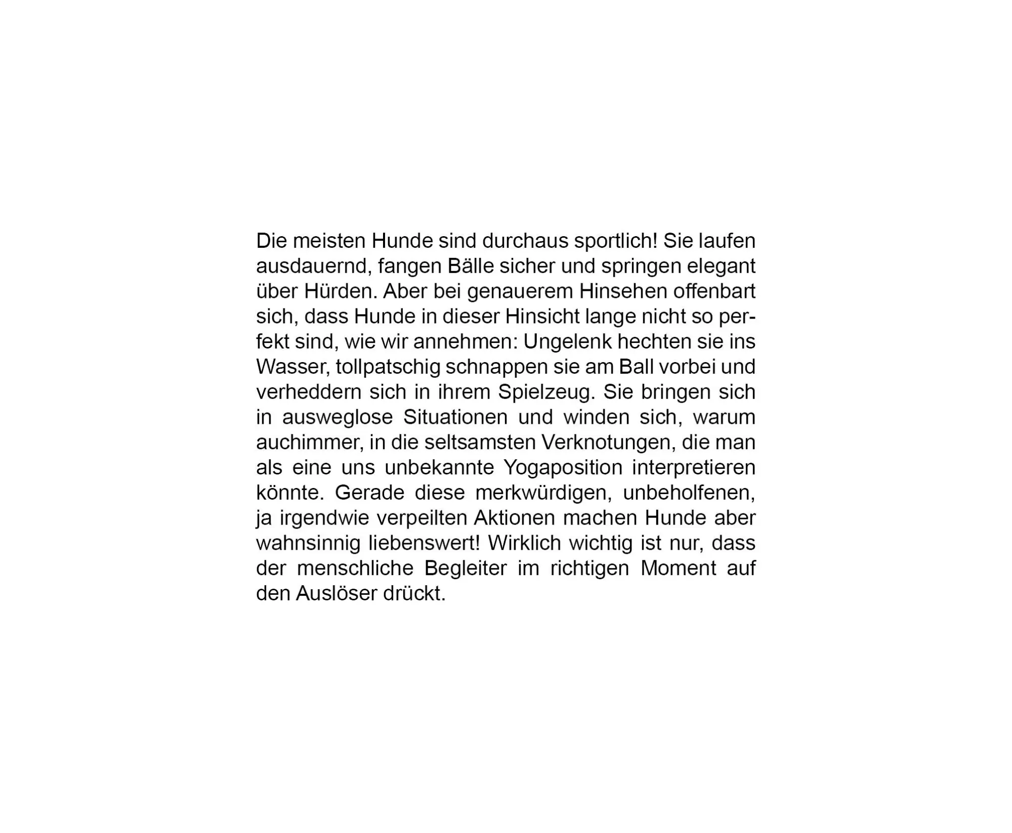 Bild: 9783832169138 | Der herabschauende Hund | 170 Hunde kommen an ihre Grenzen | Buch