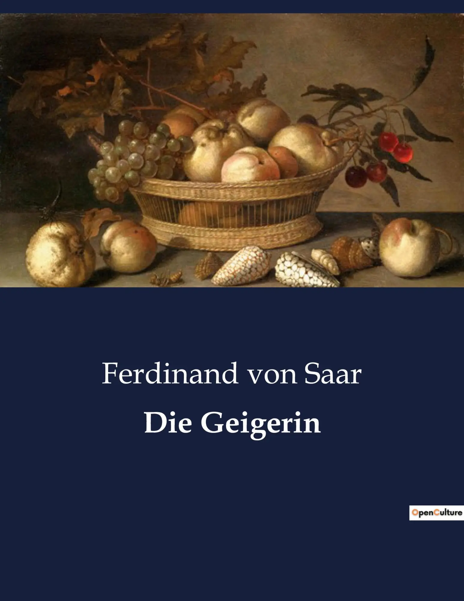 Cover: 9791041939138 | Die Geigerin | Ferdinand Von Saar | Taschenbuch | 36 S. | Deutsch