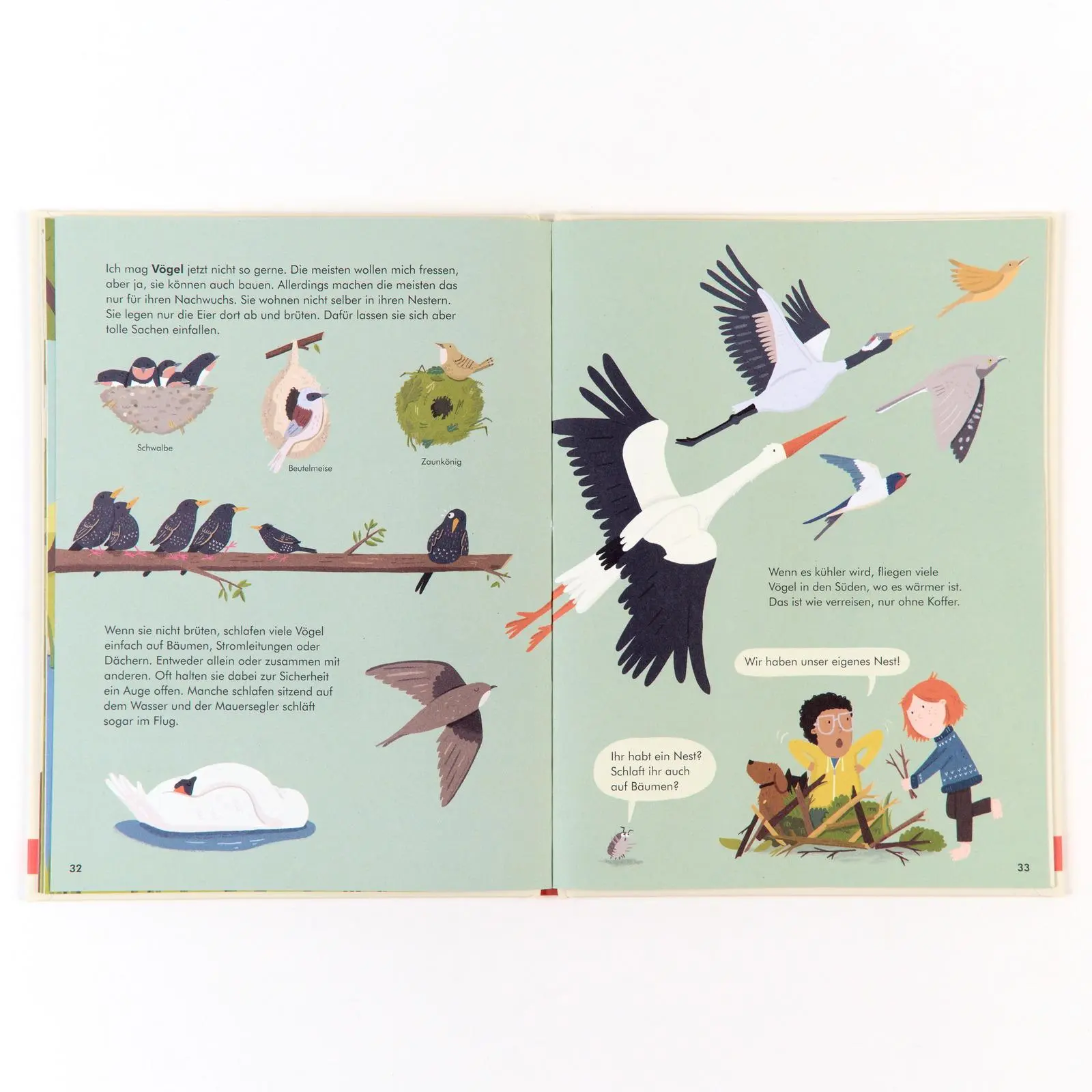 Bild: 9783407759238 | Tierische Wohnungen | Das Leben da draußen | Katrin Wiehle | Buch