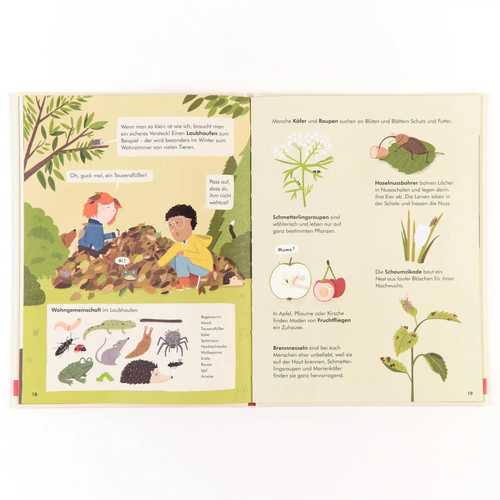 Bild: 9783407759238 | Tierische Wohnungen | Das Leben da draußen | Katrin Wiehle | Buch