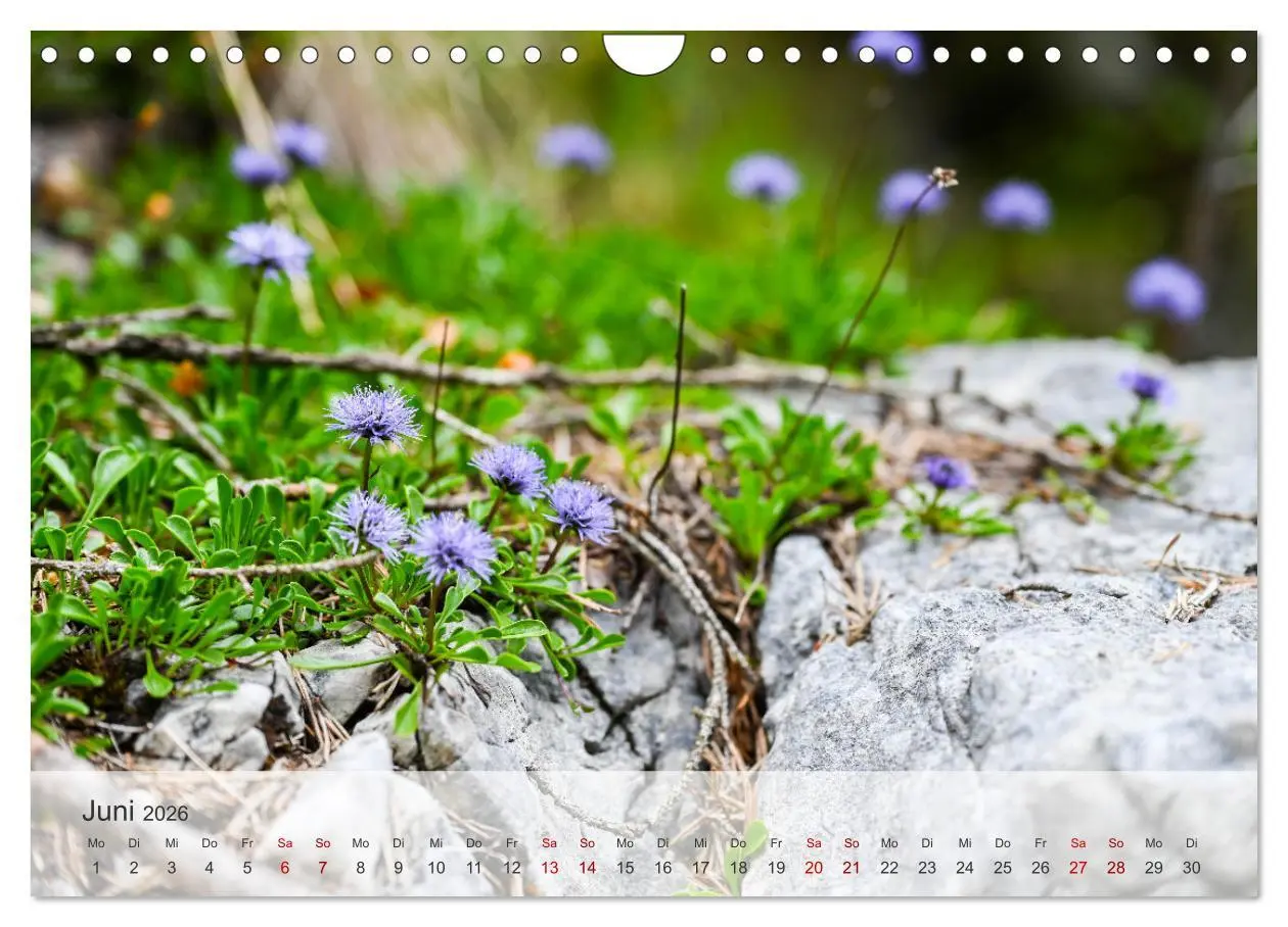 Bild: 9783457329238 | Alpenwelten-Zwischen Wetterstein und Karwendel (Wandkalender 2026...
