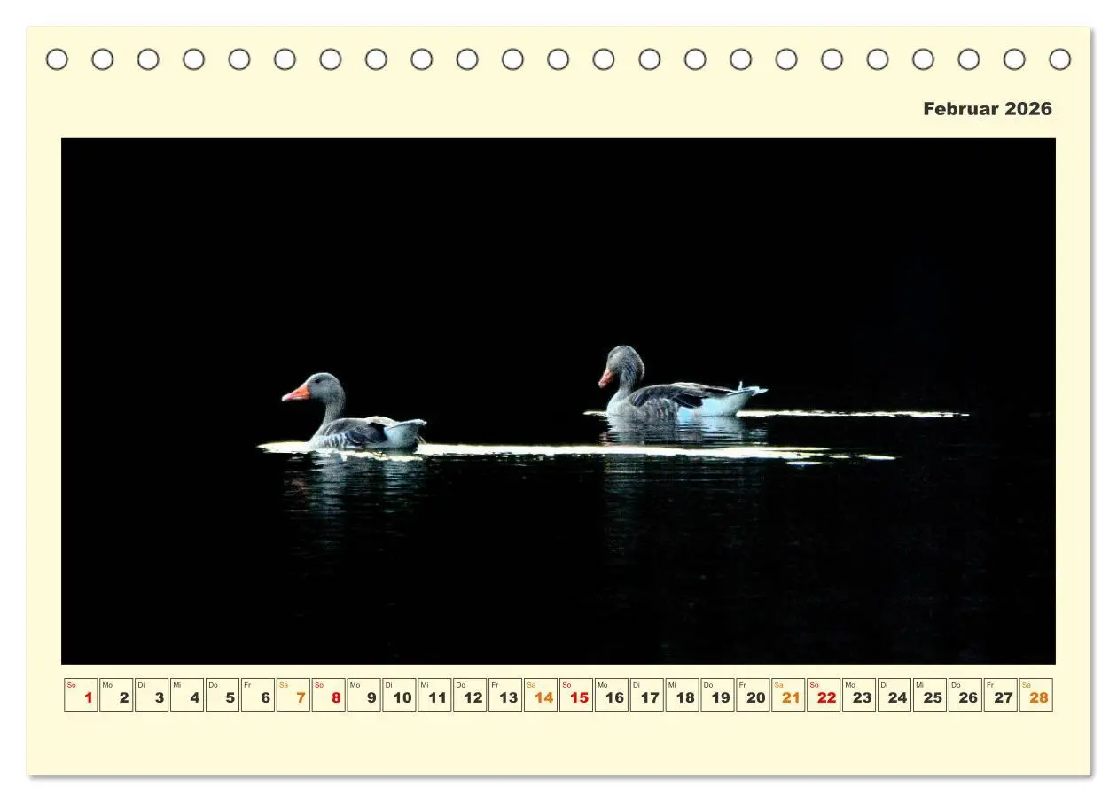 Bild: 9783457569238 | Tierwelt der Wümmeniederung (Tischkalender 2026 DIN A5 quer),...