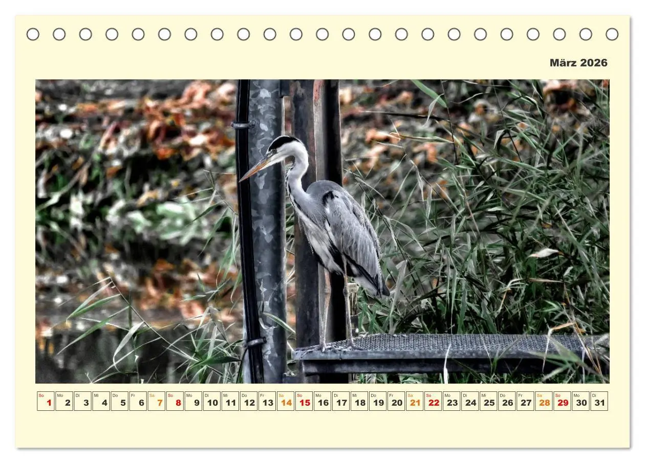 Bild: 9783457569238 | Tierwelt der Wümmeniederung (Tischkalender 2026 DIN A5 quer),...