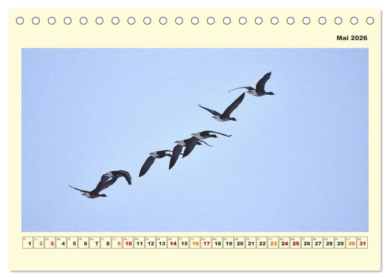 Bild: 9783457569238 | Tierwelt der Wümmeniederung (Tischkalender 2026 DIN A5 quer),...
