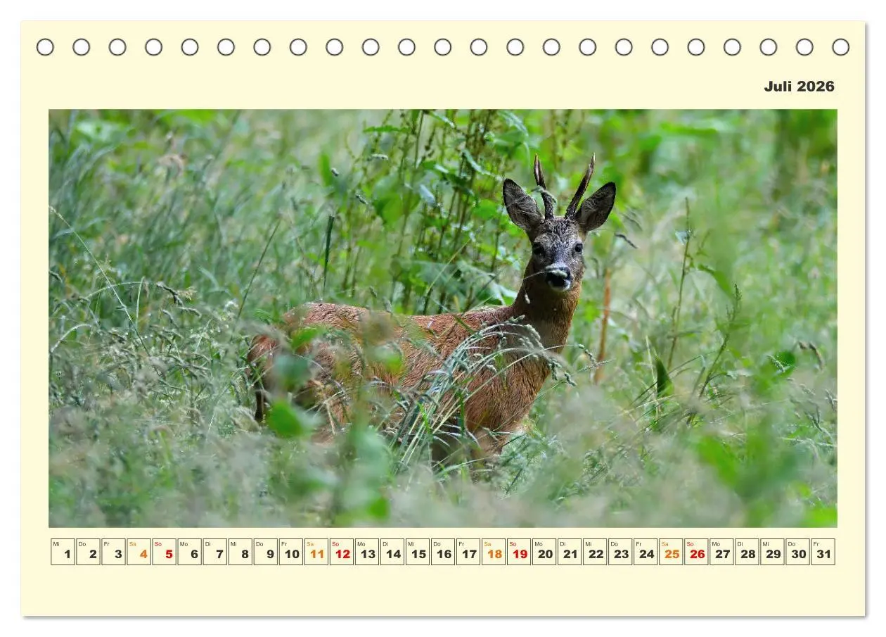 Bild: 9783457569238 | Tierwelt der Wümmeniederung (Tischkalender 2026 DIN A5 quer),...
