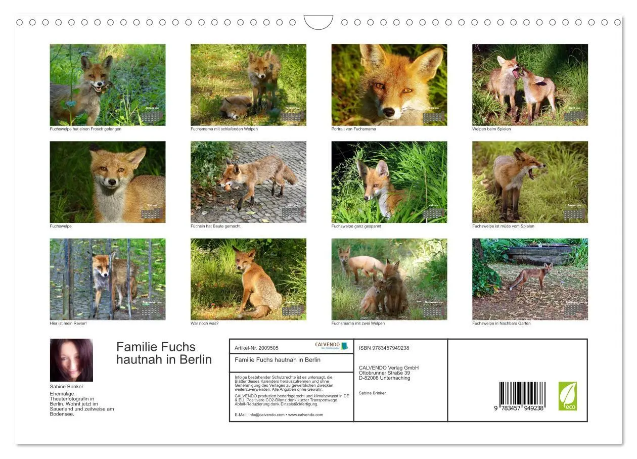 Bild: 9783457949238 | Familie Fuchs hautnah in Berlin (Wandkalender 2026 DIN A3 quer),...
