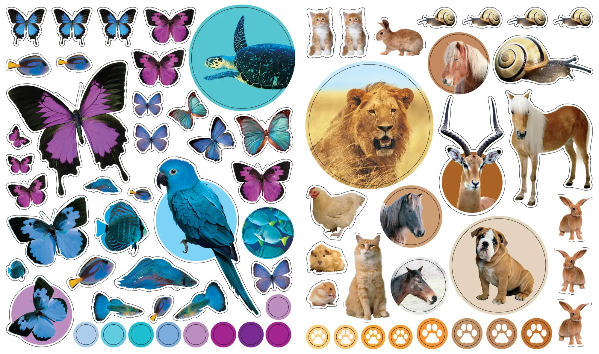 Bild: 9780761169338 | EyeLike Stickers: Animals | 400 reusable stickers inspired by nature