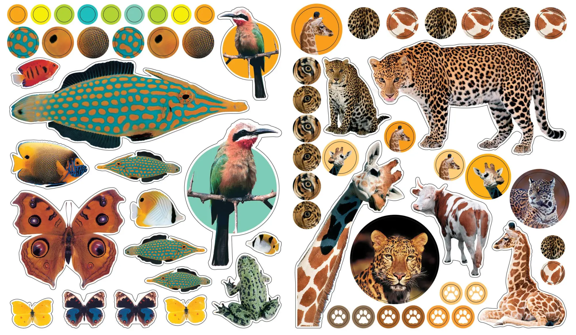 Bild: 9780761169338 | EyeLike Stickers: Animals | 400 reusable stickers inspired by nature