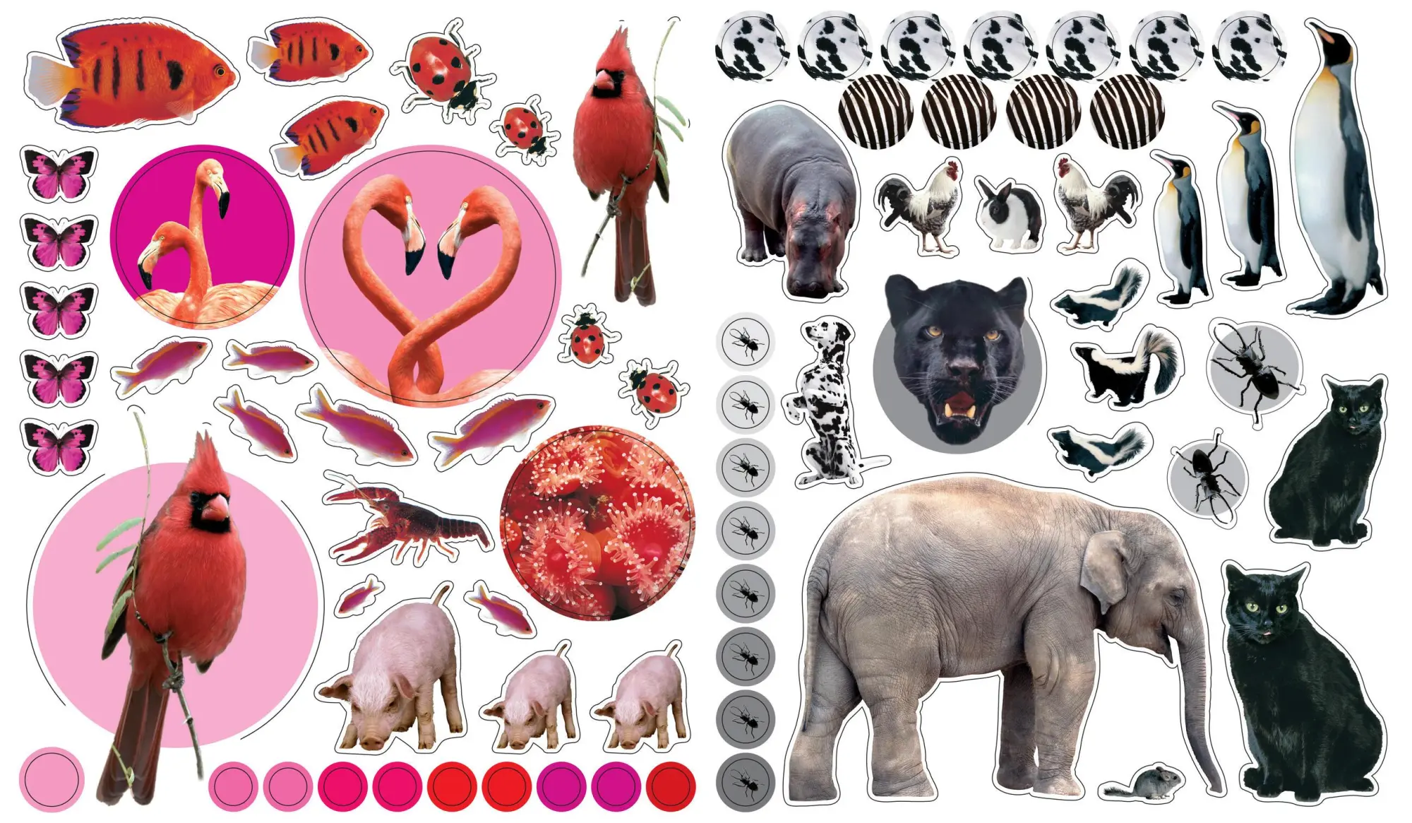 Bild: 9780761169338 | EyeLike Stickers: Animals | 400 reusable stickers inspired by nature