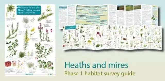 Cover: 9781908819338 | Plant identification for Phase 1 habitat survey: heaths and meres