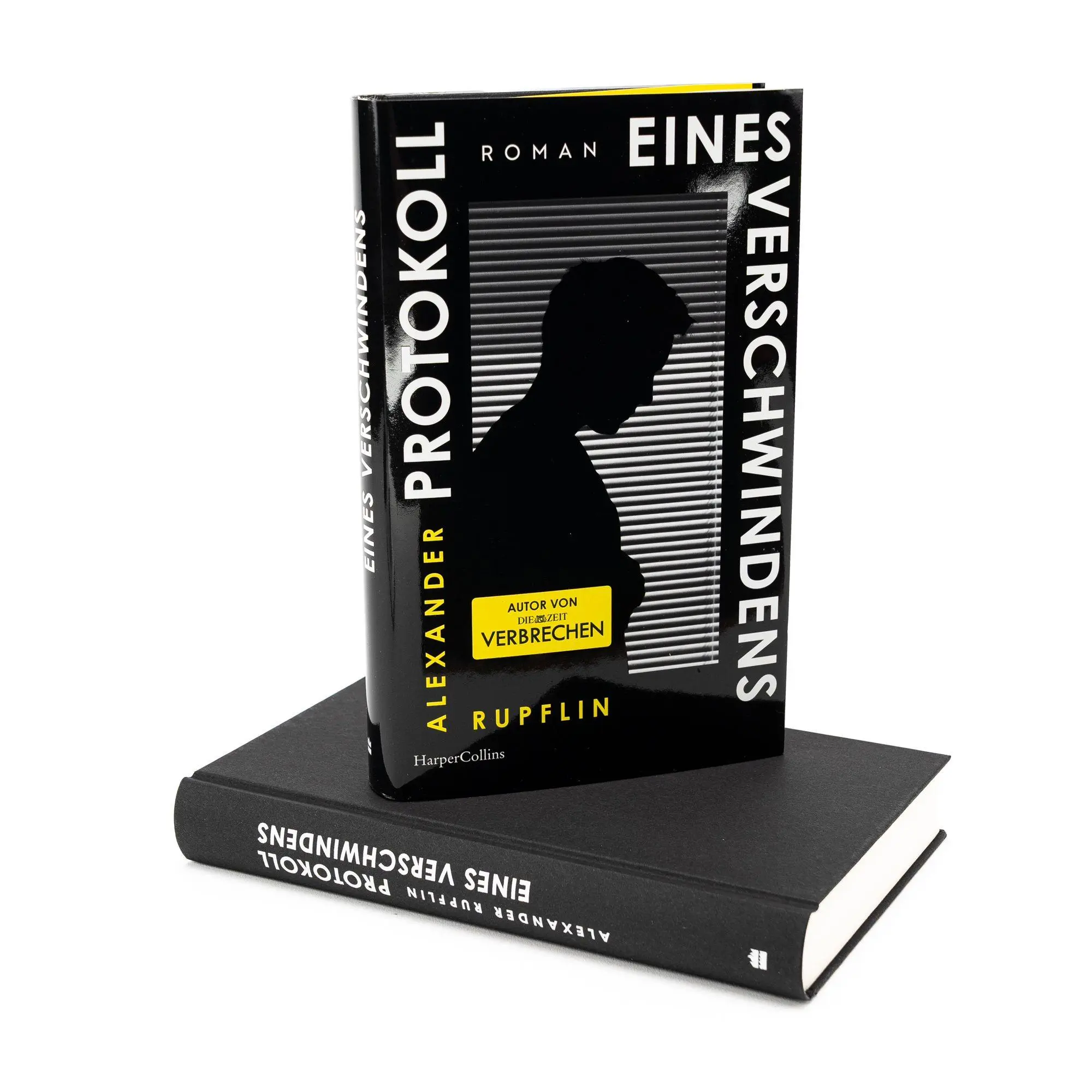 Bild: 9783365009338 | Protokoll eines Verschwindens | Alexander Rupflin | Buch | 288 S.