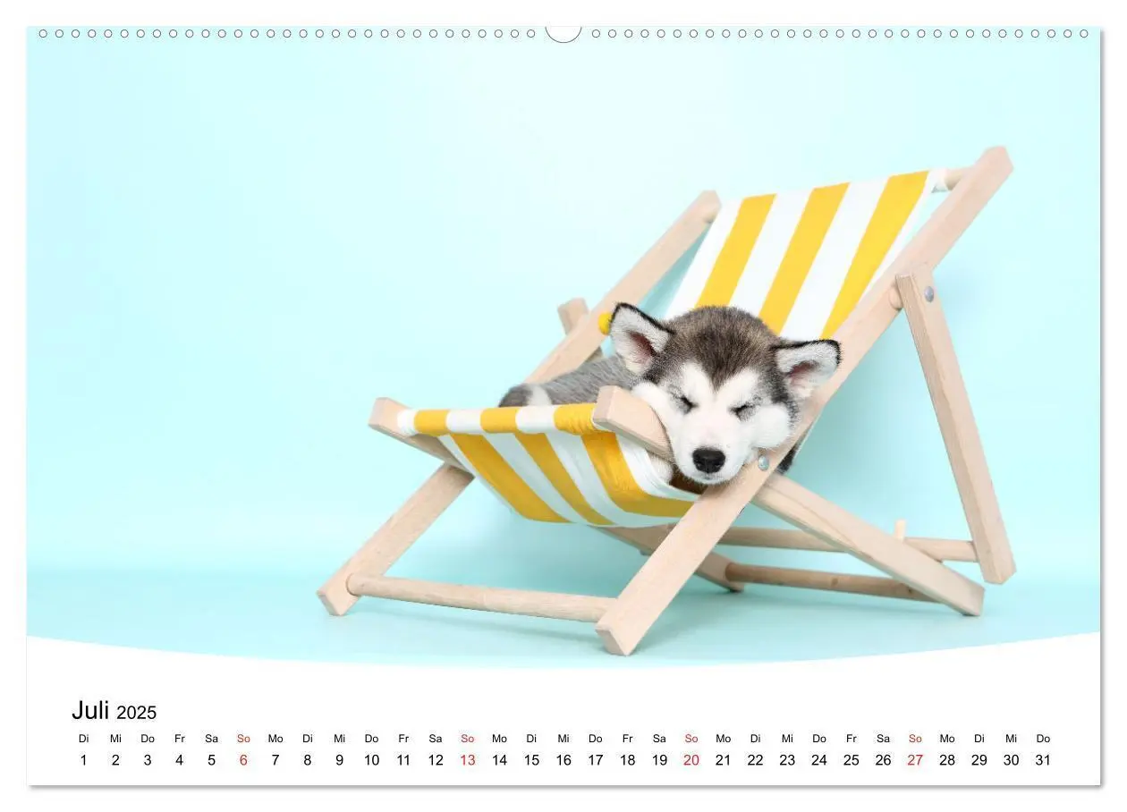 Bild: 9783435159338 | Süße Träume 2025 - schlafende Hundewelpen (Wandkalender 2025 DIN A2...