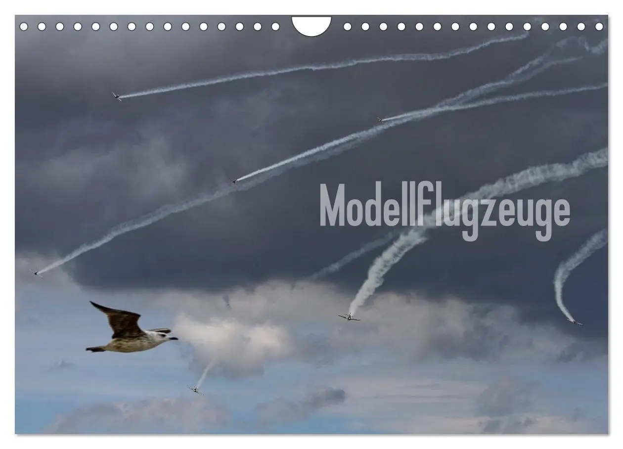 Cover: 9783594249338 | Modellflugzeuge Nr. 1 / 2027 (Wandkalender 2027 DIN A4 quer),...