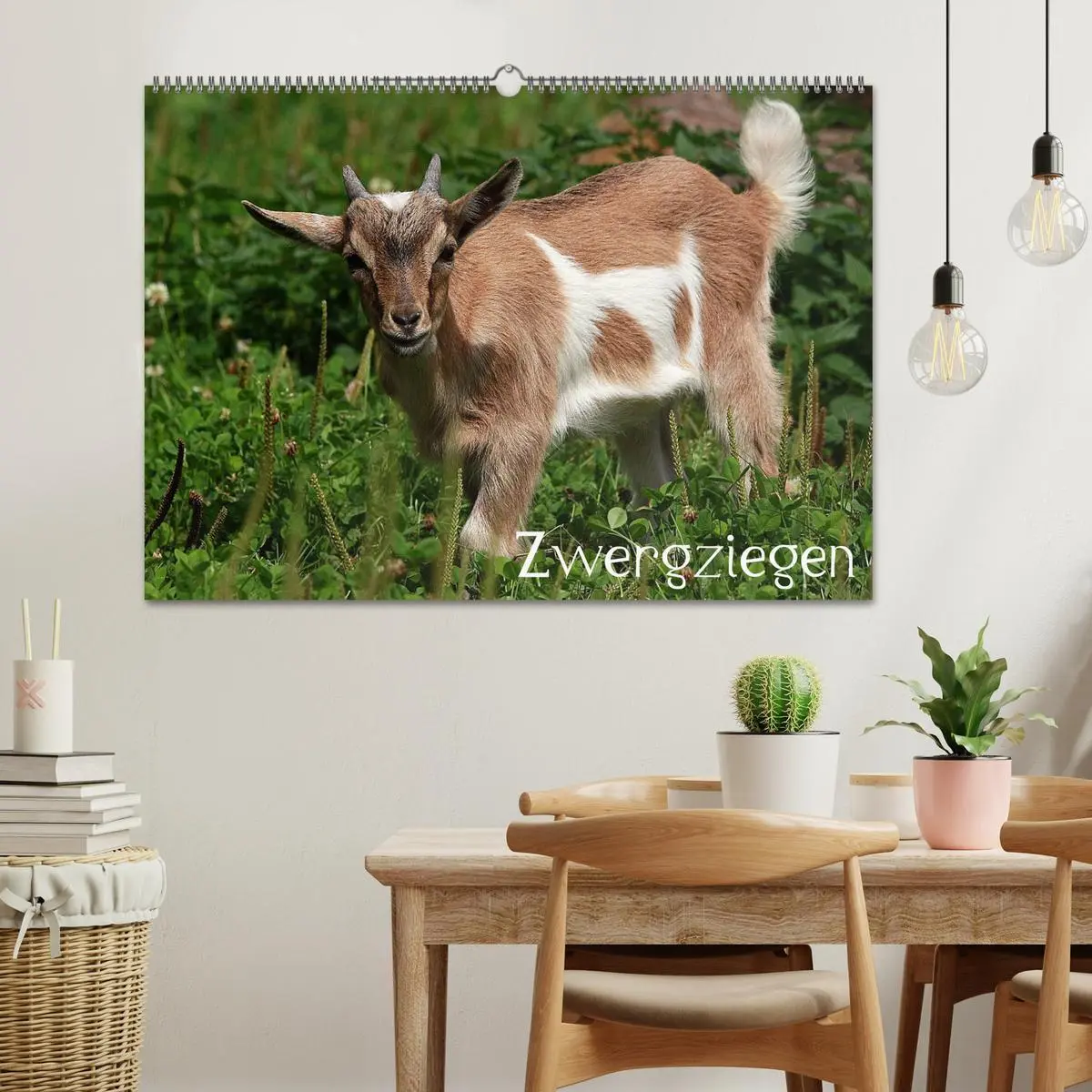 Bild: 9783516189438 | Zwergziegen (Wandkalender 2026 DIN A2 quer), CALVENDO Monatskalender