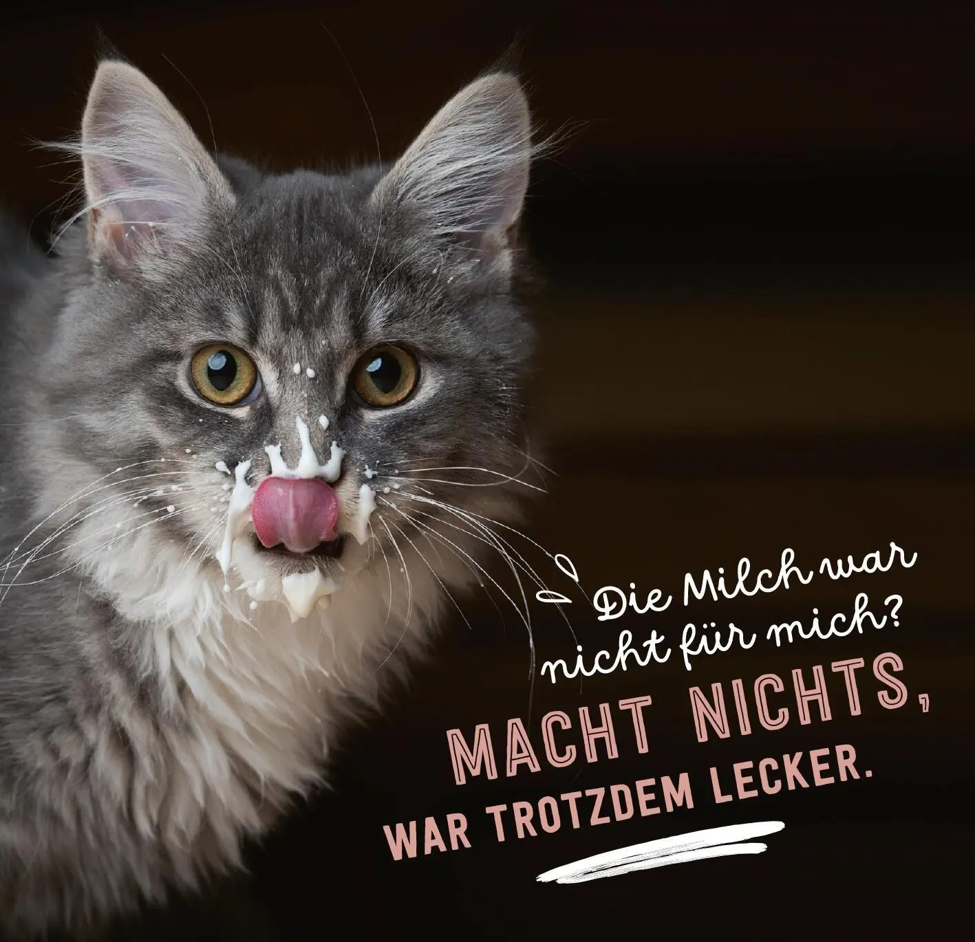 Bild: 9783845869438 | Don¿t hurry, be Kitty! | Gelassen wie eine Katze leben | Taschenbuch