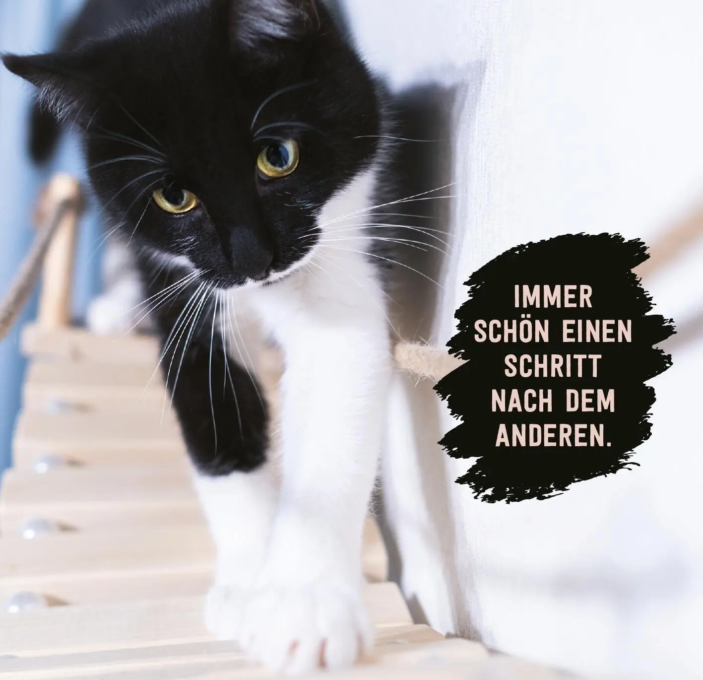Bild: 9783845869438 | Don¿t hurry, be Kitty! | Gelassen wie eine Katze leben | Taschenbuch