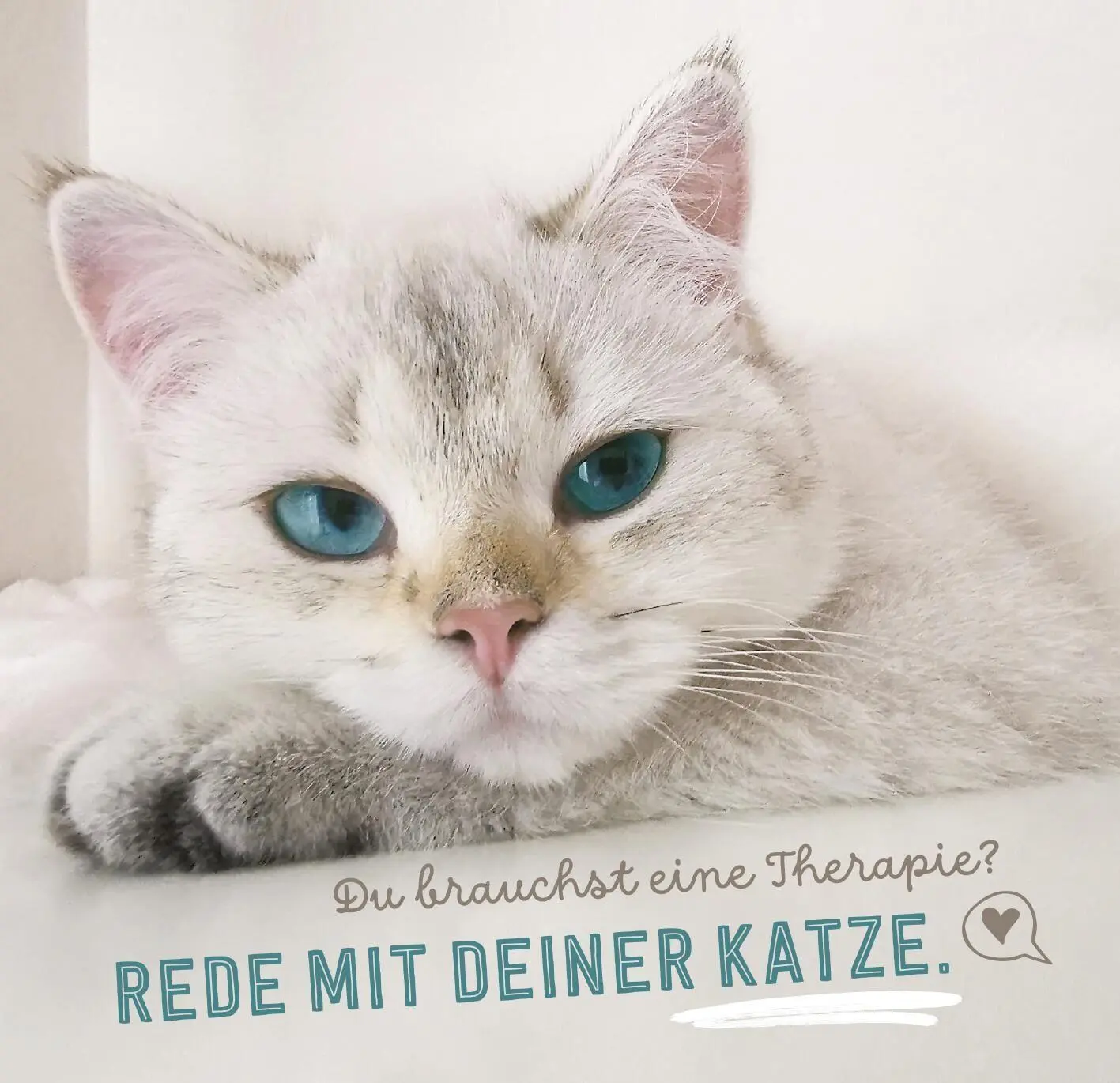 Bild: 9783845869438 | Don¿t hurry, be Kitty! | Gelassen wie eine Katze leben | Taschenbuch