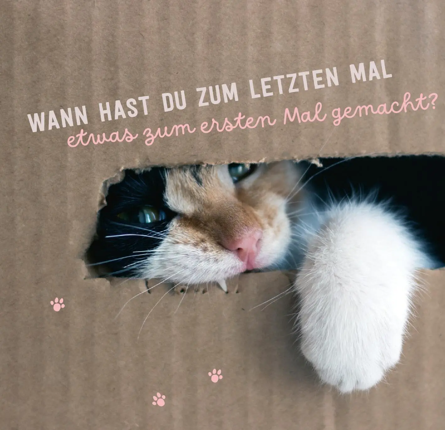 Bild: 9783845869438 | Don¿t hurry, be Kitty! | Gelassen wie eine Katze leben | Taschenbuch