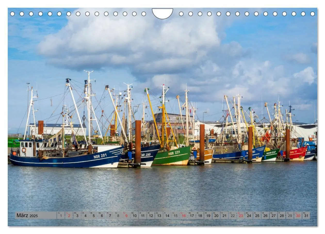 Bild: 9783435069538 | NORDDEICH-LIEBE (Wandkalender 2025 DIN A4 quer), CALVENDO...