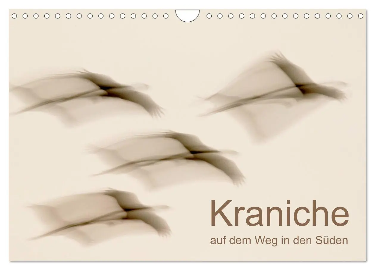 Cover: 9783516009538 | Kraniche auf dem Weg nach Süden (Wandkalender 2026 DIN A4 quer),...