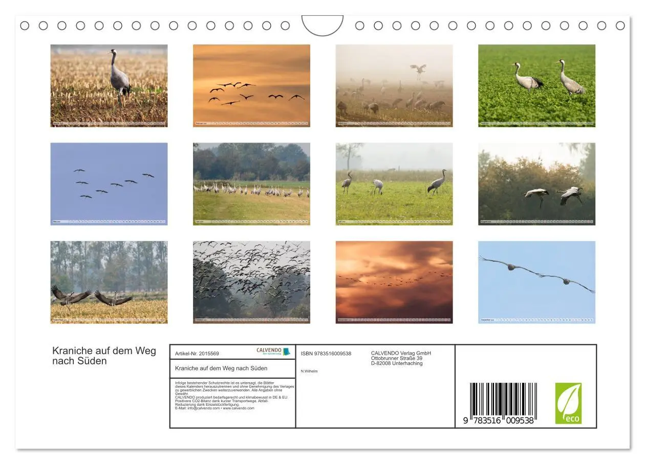Bild: 9783516009538 | Kraniche auf dem Weg nach Süden (Wandkalender 2026 DIN A4 quer),...