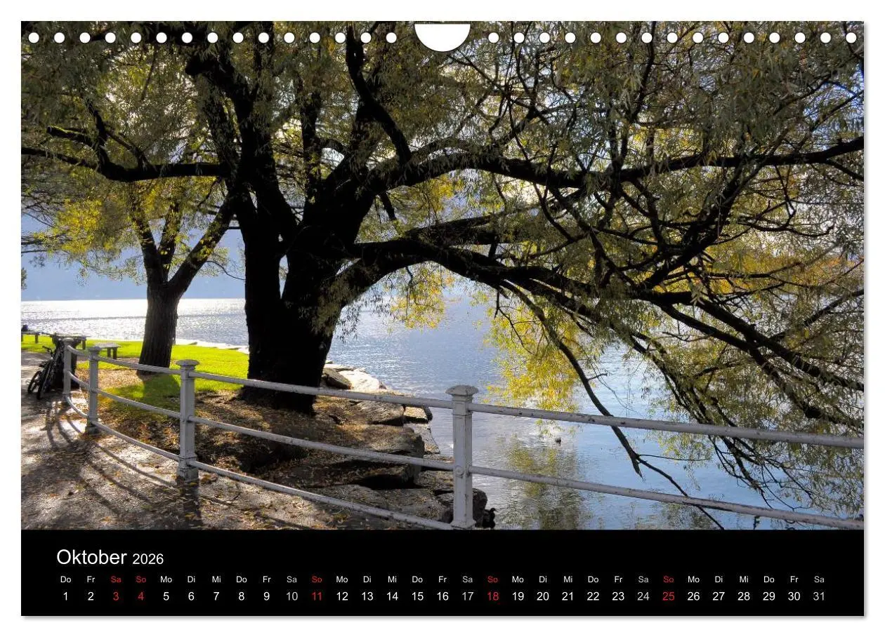 Bild: 9783516179538 | Bäume 2026 (Wandkalender 2026 DIN A4 quer), CALVENDO Monatskalender