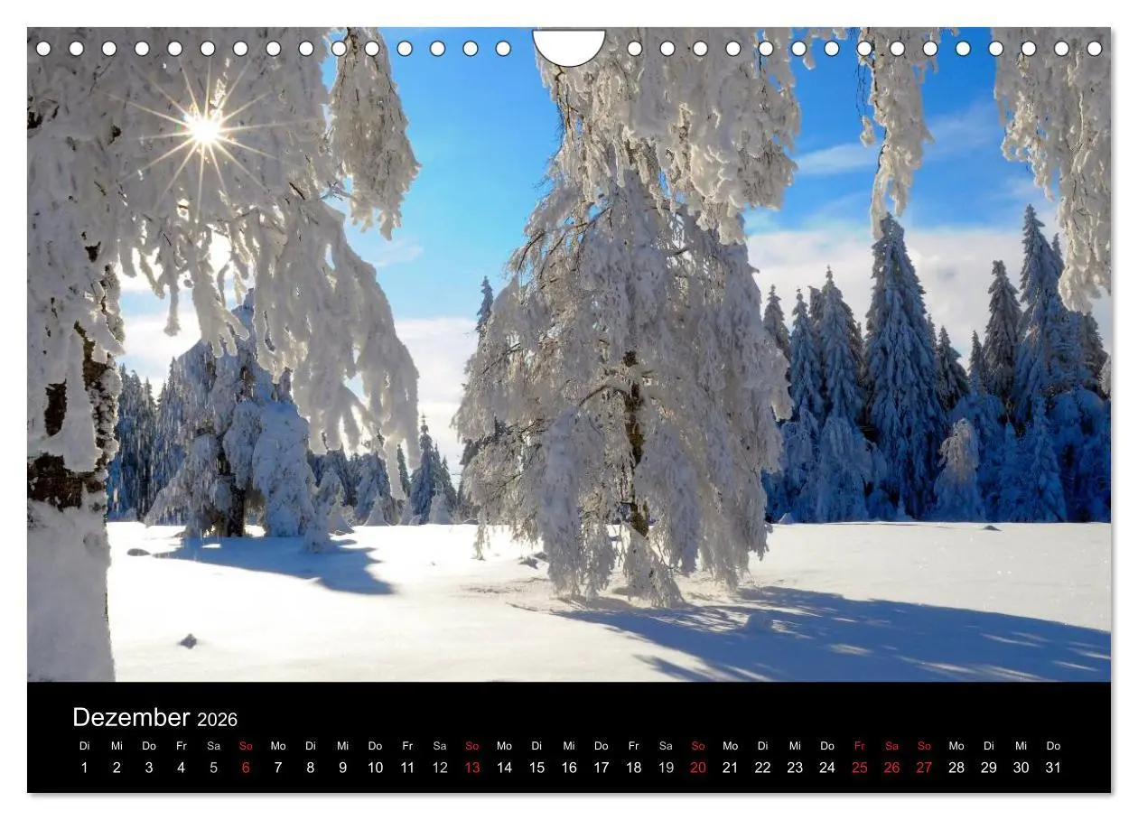 Bild: 9783516179538 | Bäume 2026 (Wandkalender 2026 DIN A4 quer), CALVENDO Monatskalender