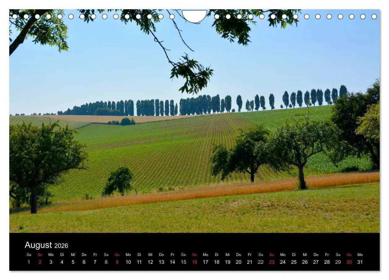 Bild: 9783516179538 | Bäume 2026 (Wandkalender 2026 DIN A4 quer), CALVENDO Monatskalender