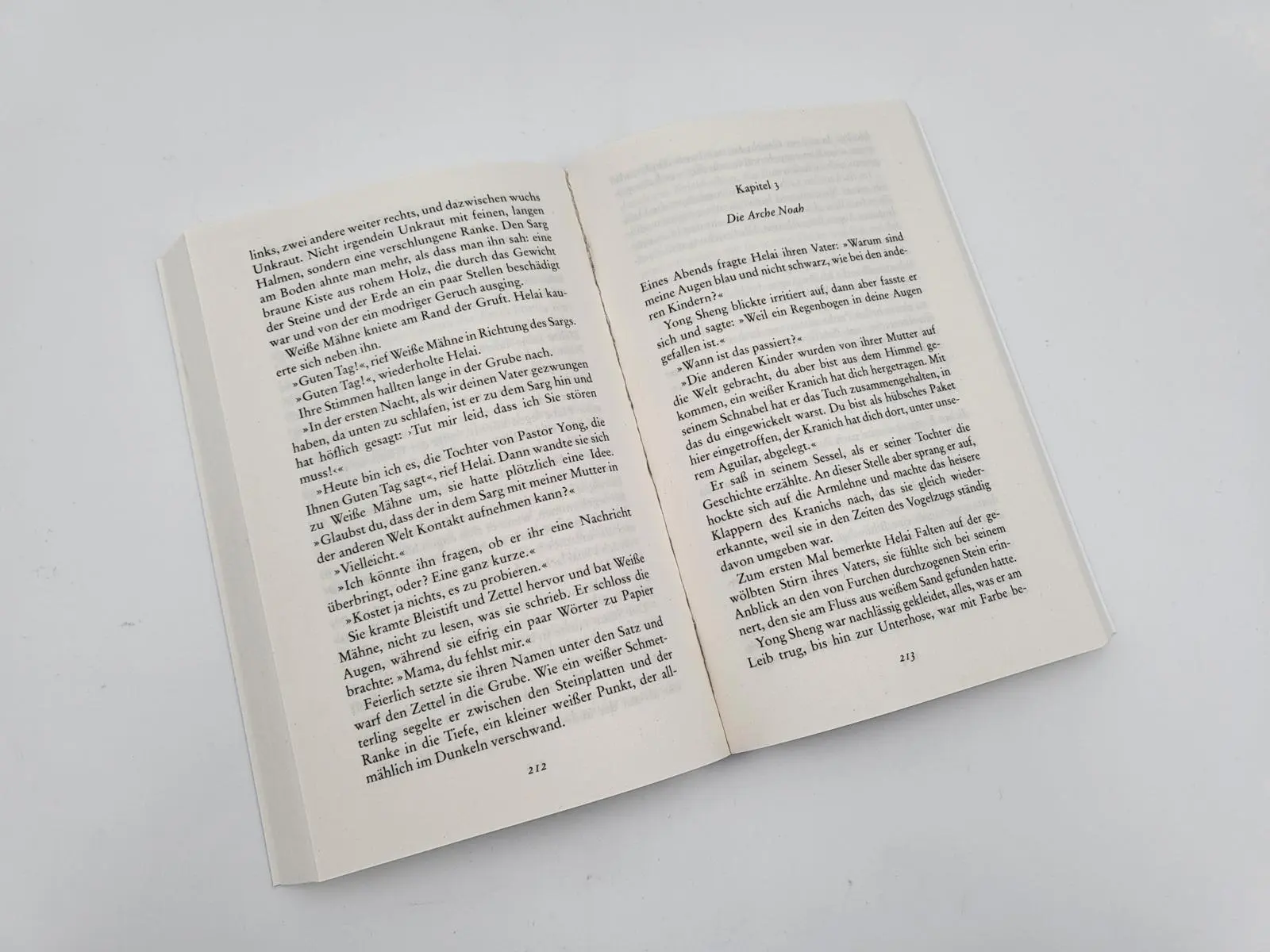 Bild: 9783492319638 | Die lange Reise des Yong Sheng | Dai Sijie | Taschenbuch | 432 S.