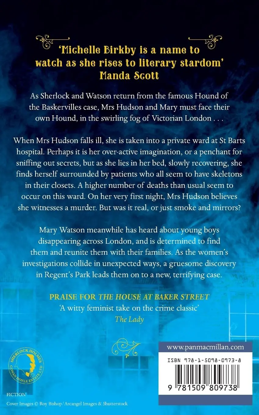 Rückseite: 9781509809738 | The Women of Baker Street | Michelle Birkby | Taschenbuch | 348 S.