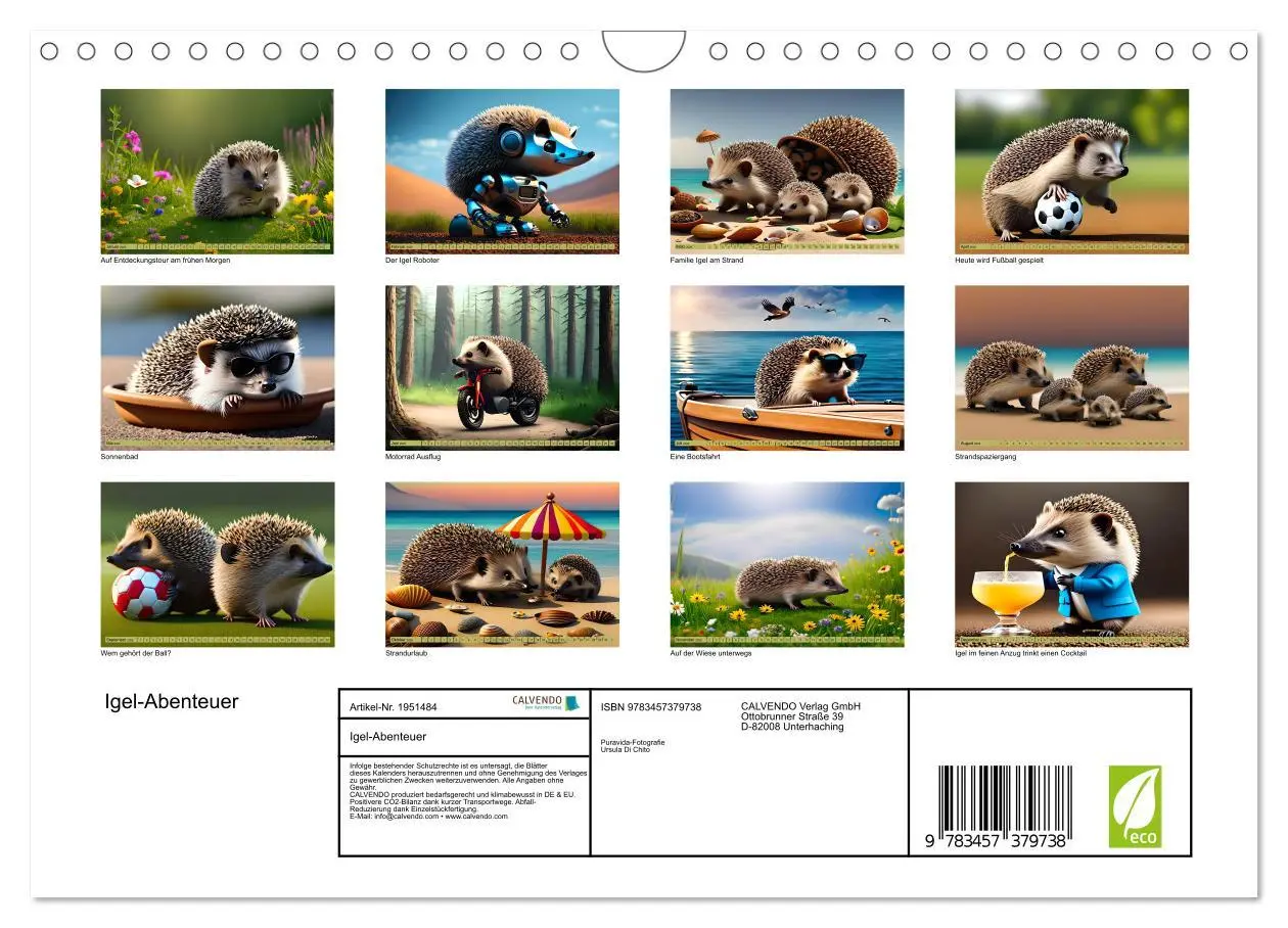 Bild: 9783457379738 | Igel-Abenteuer (Wandkalender 2026 DIN A4 quer), CALVENDO...