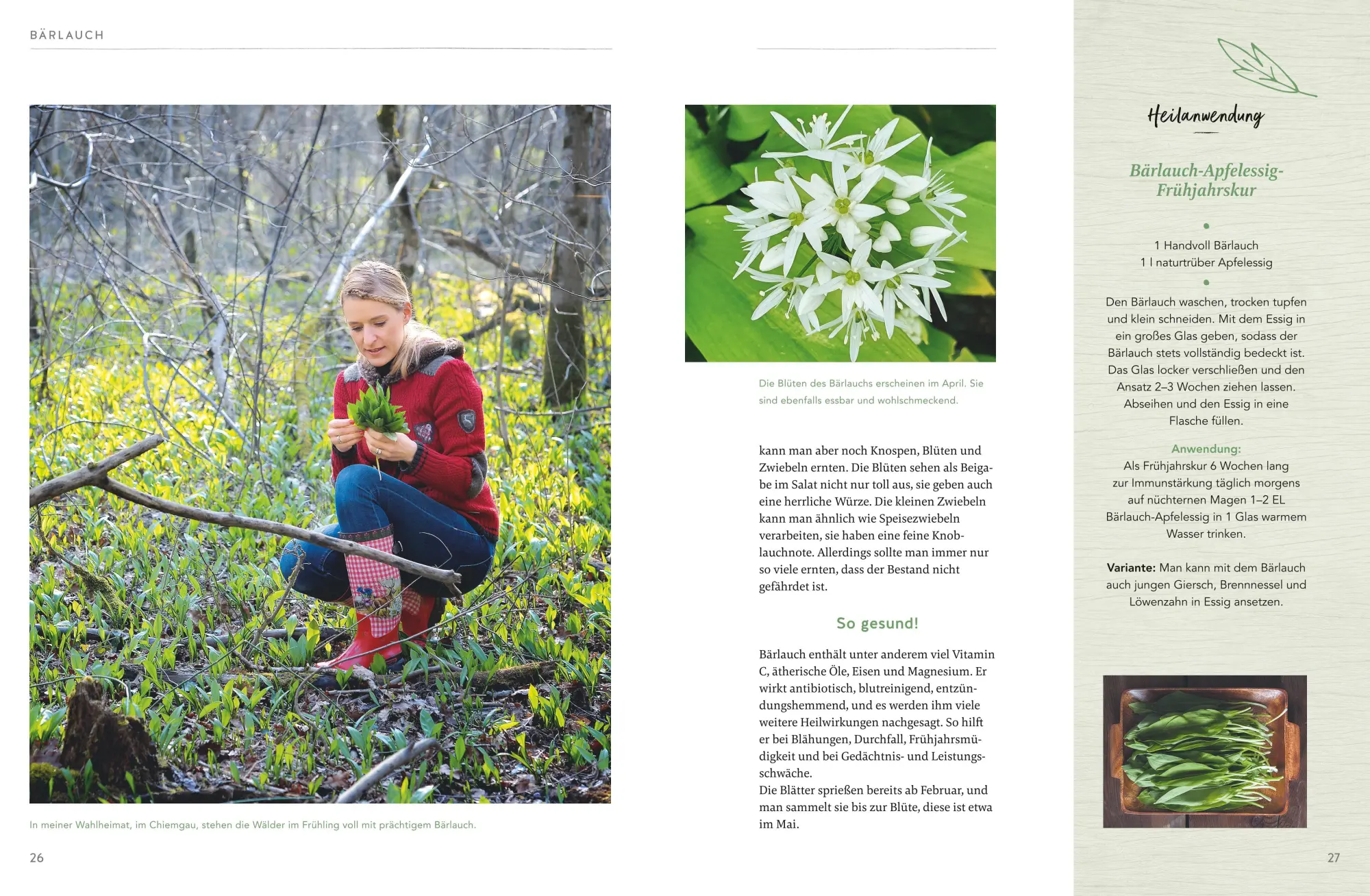 Bild: 9783833889738 | Die Wunderwelt der Kräuter | Stefanie Hertel | Buch | GU Natur | 2024