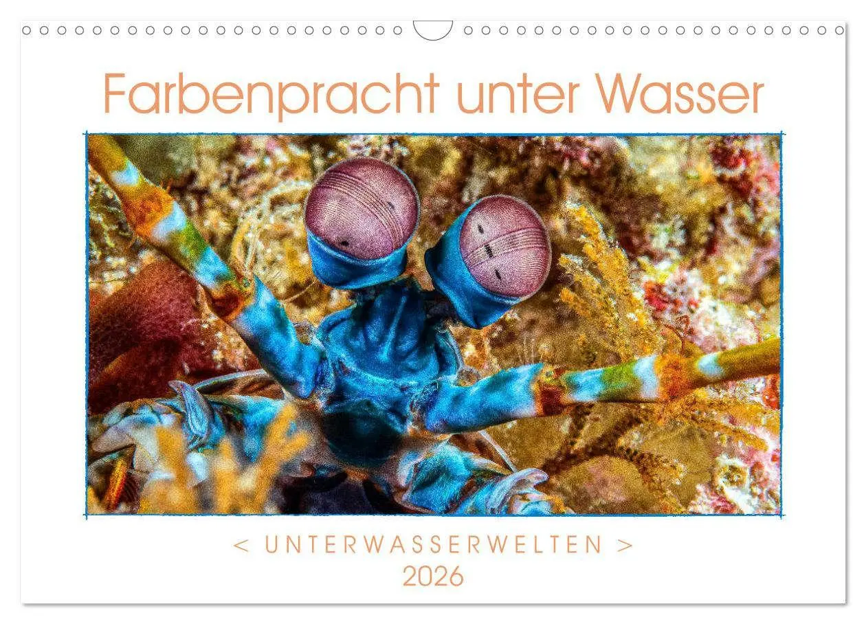 Cover: 9783457749838 | Farbenpracht unter Wasser (Wandkalender 2026 DIN A3 quer), CALVENDO...