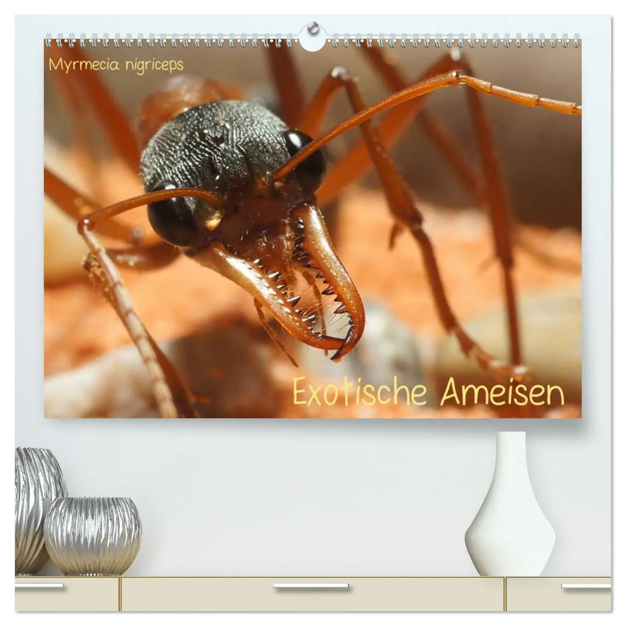 Cover: 9783516149838 | Exotische Ameisen (hochwertiger Premium Wandkalender 2026 DIN A2...